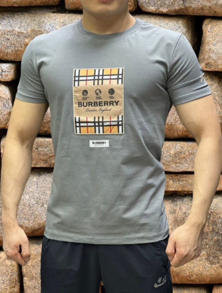 Мужская футболка серая купить в Интернет-магазине Садовод База - цена 1000 руб Садовод интернет-каталог